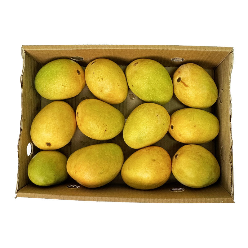 Alphonso Mango pack of  12