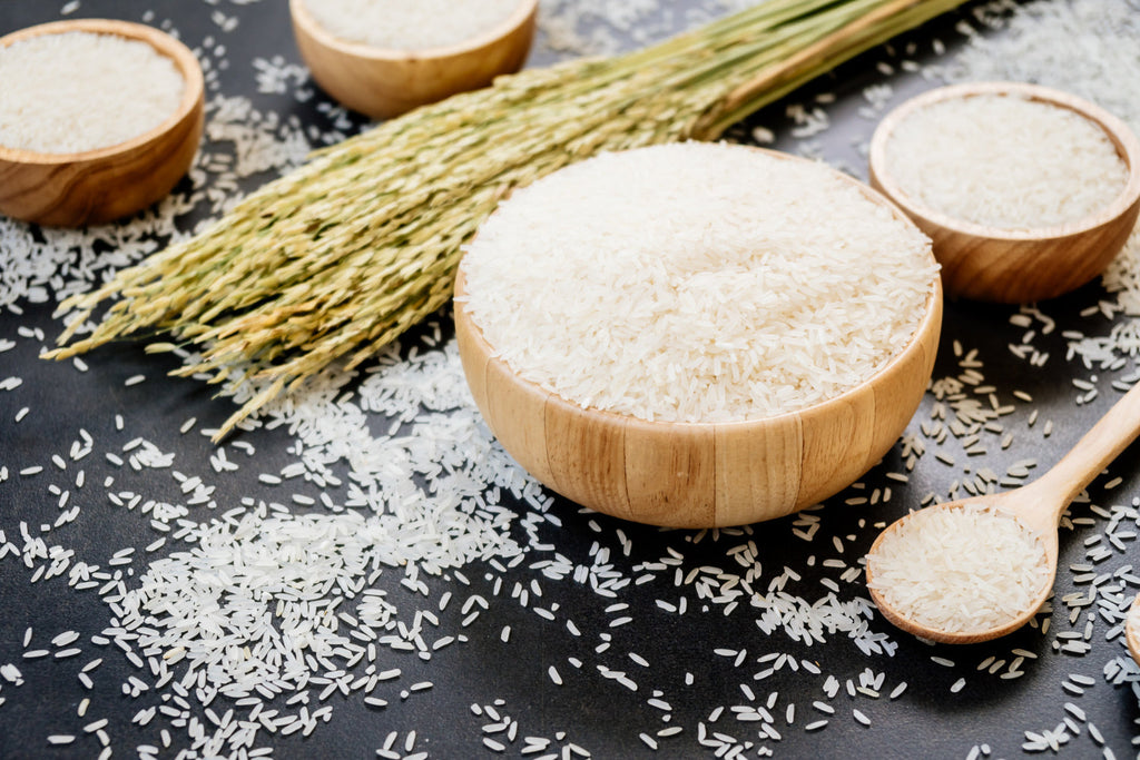 Basmati vs Sona Masoori Rice – which one should you buy?
