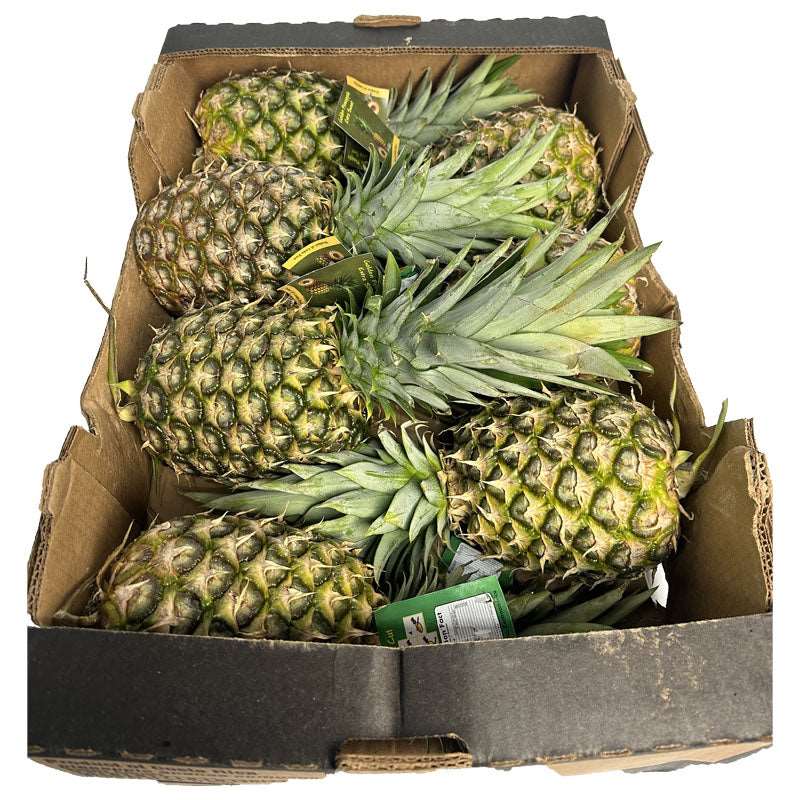 Shop for Fresh pineapple box online UK