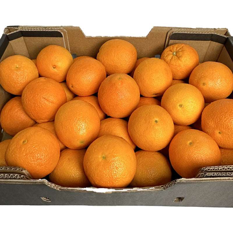 fresh oranges box