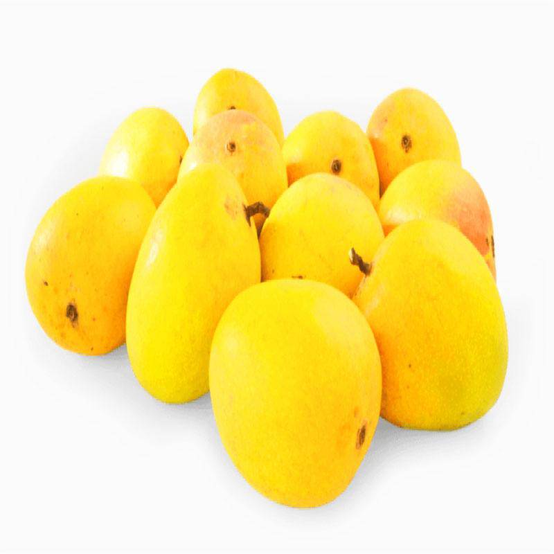Indian Alphonso Mango