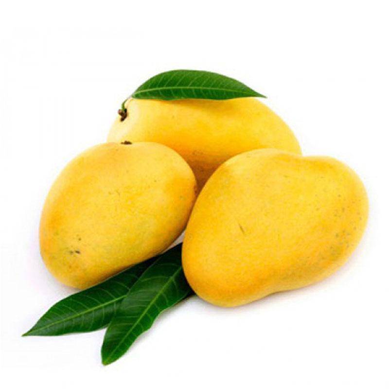 Indian Badami Mango