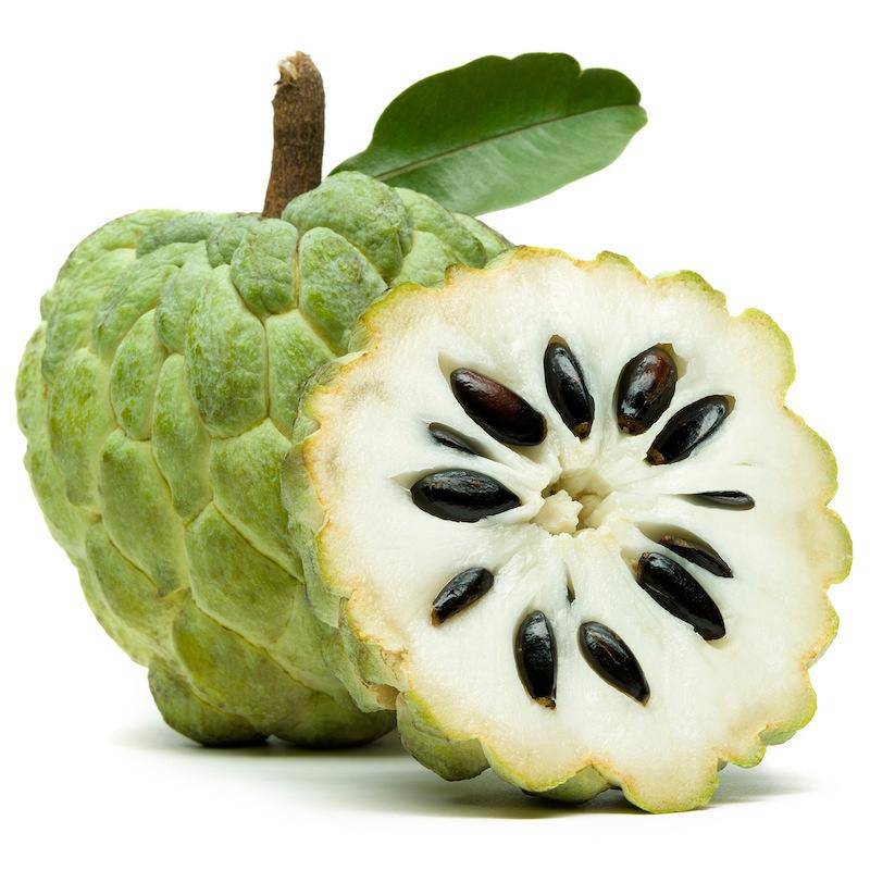 Shop for Custard Apples (Pack of 8) online UK - SUJASH