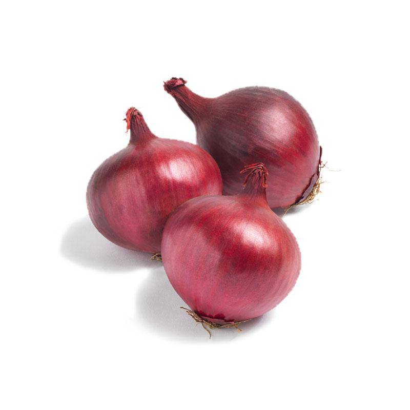 Fresh Red onions online UK