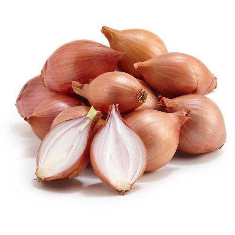 Shallot Onions online UK
