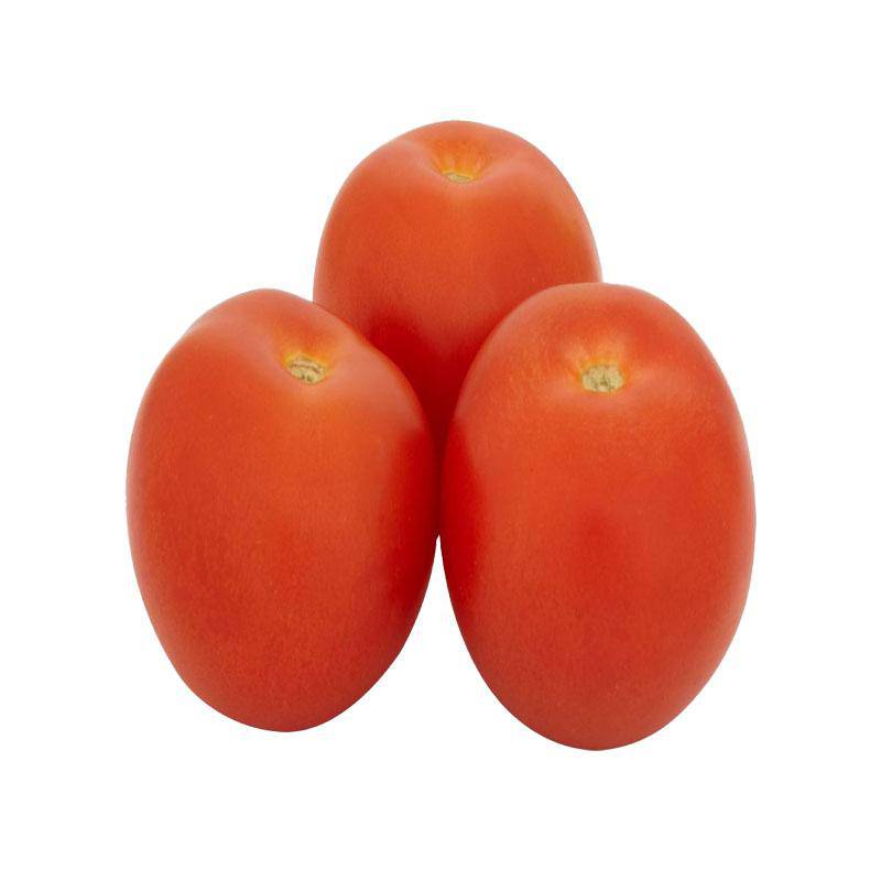 Shop for Fresh tomato online UK