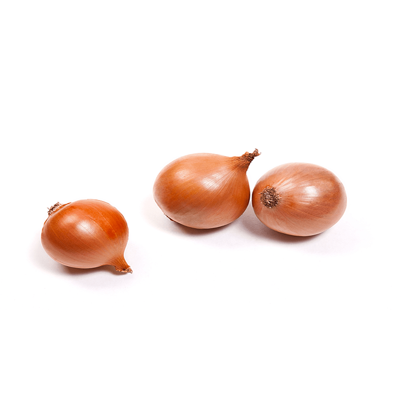 Buy Fresh Dutch Onion online store Sujash UK