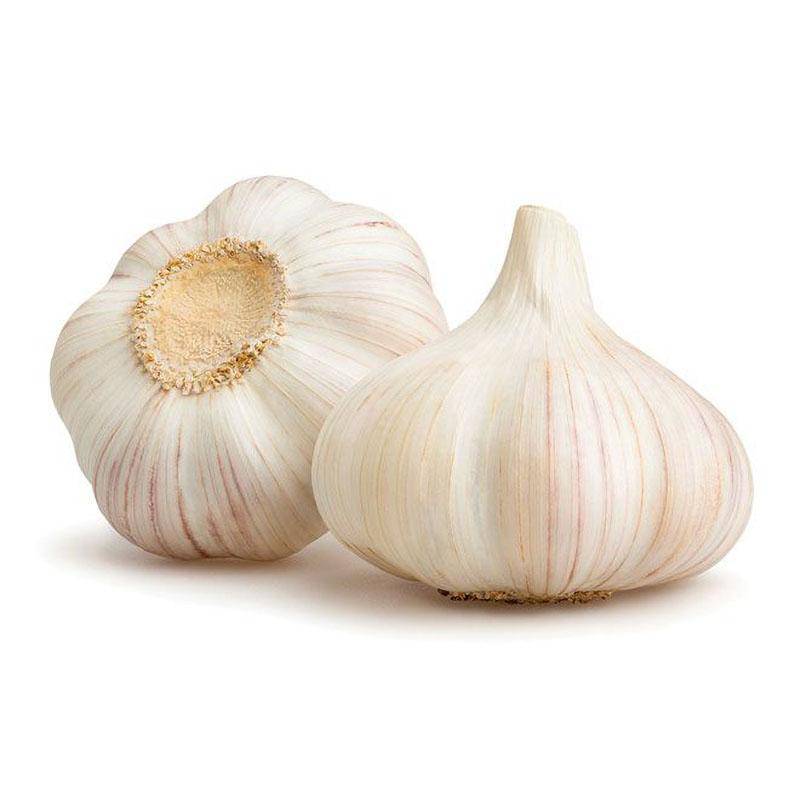 Fresh Garlic online in UK 