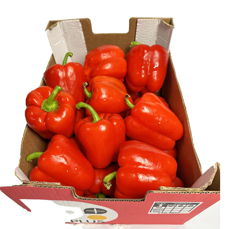 Fresh Veg and Frozen – SUJASH