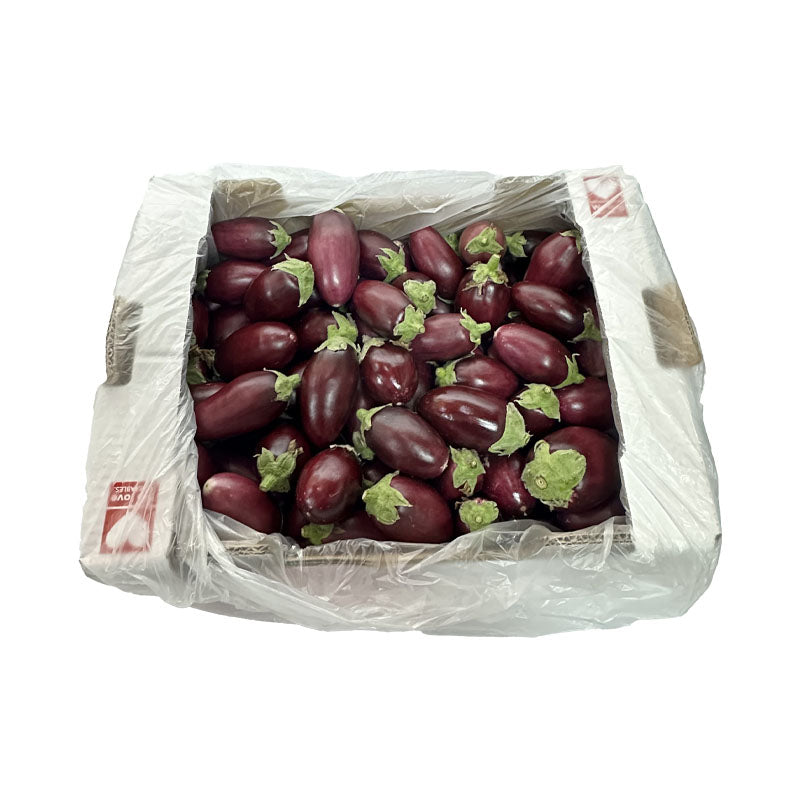 Shop for Fresh Small Aubergine | Baingan (1 Box - approx 4Kg) online UK
