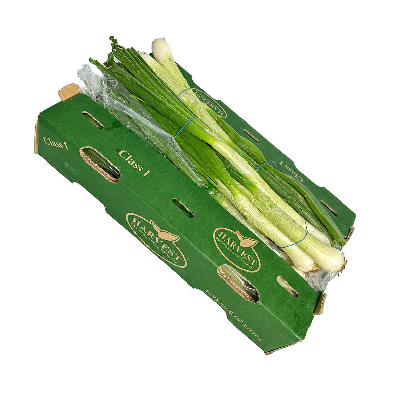Shop for Spring onion box online UK